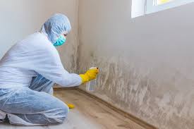 Best Mold Documentation for Insurance Claims  in Spartanburg, SC