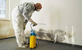 Best Mold Odor Removal Services  in Spartanburg, SC