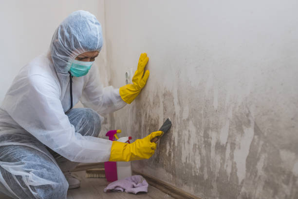 Best Residential Mold Inspection & Testing  in Spartanburg, SC