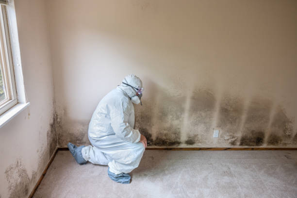 Best Industrial Mold Remediation  in Spartanburg, SC