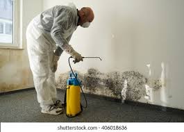 Best Environmental Consulting for Mold Prevention  in Spartanburg, SC